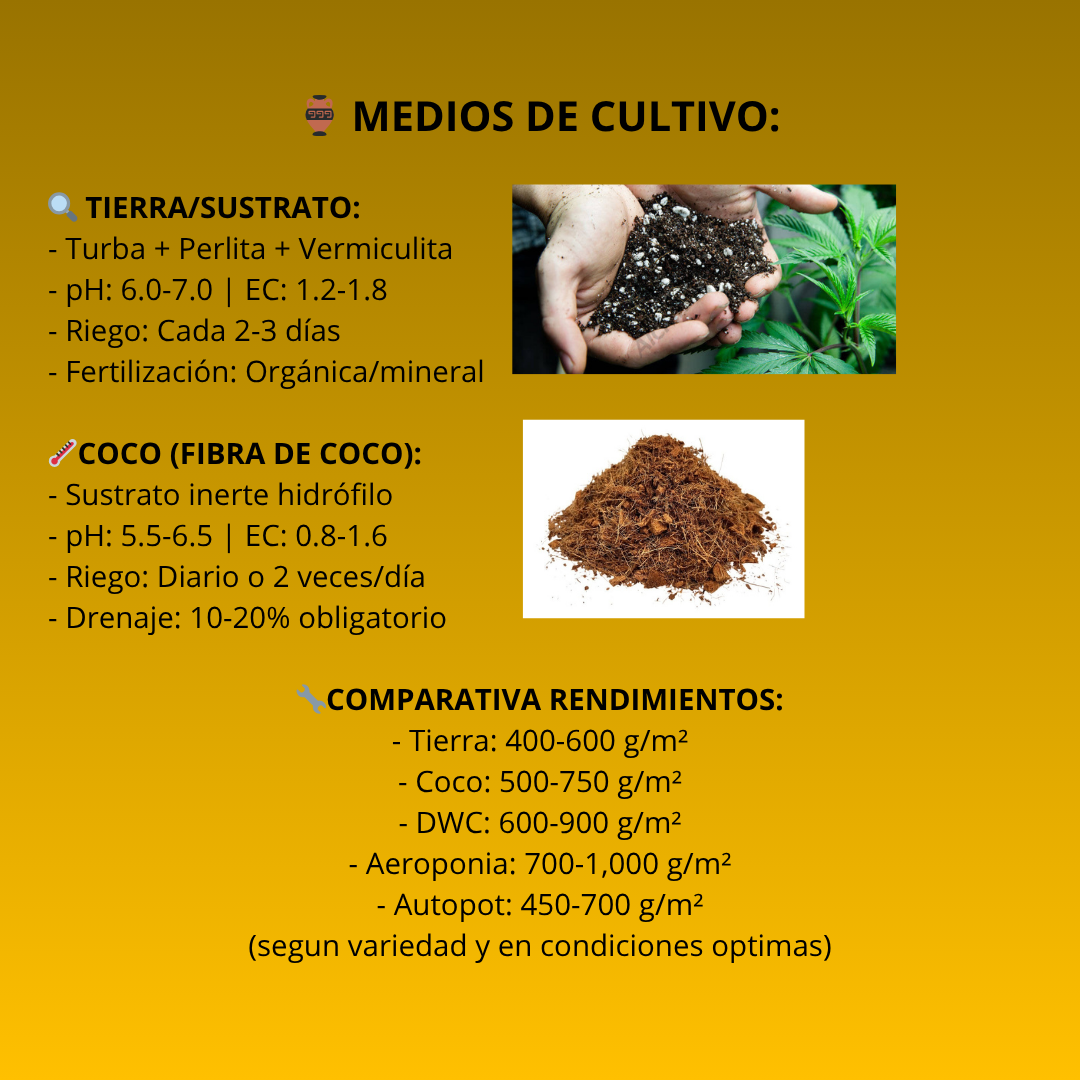 Técnica 7